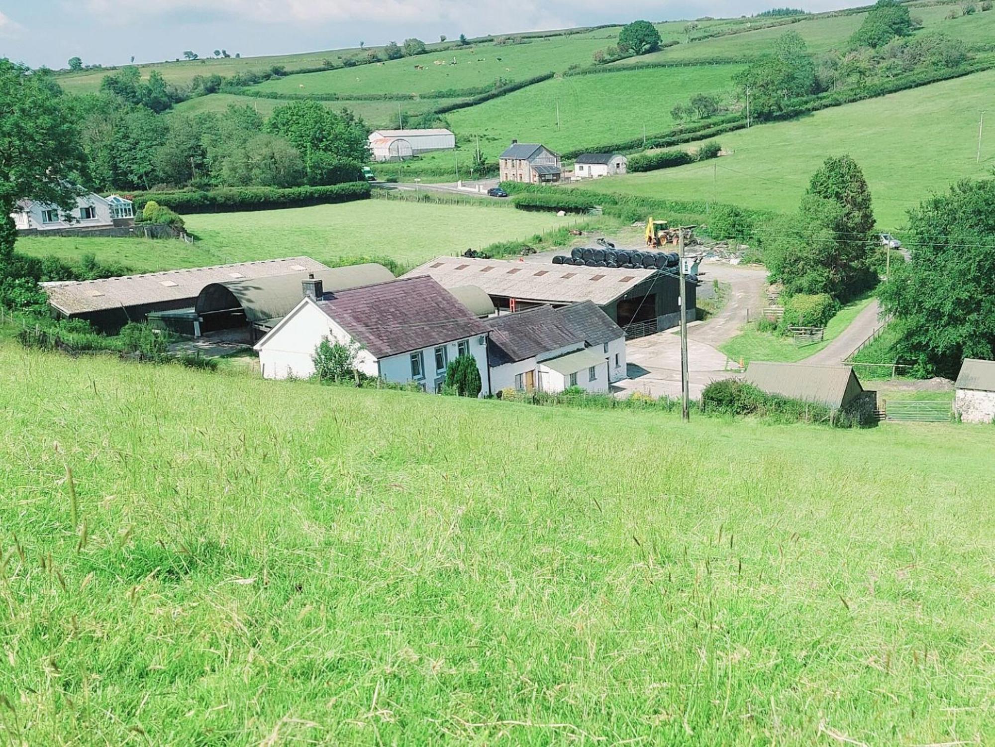 Typicca Farmhouse Brechfa Exteriér fotografie
